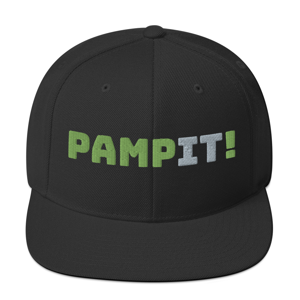 PampIT Snapback Hat -- Green and Grey
