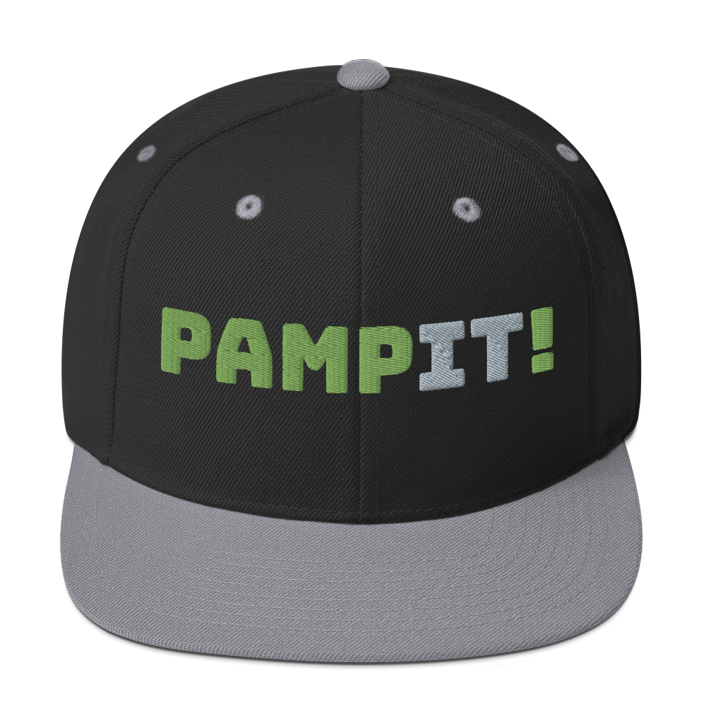 PampIT Snapback Hat -- Green and Grey