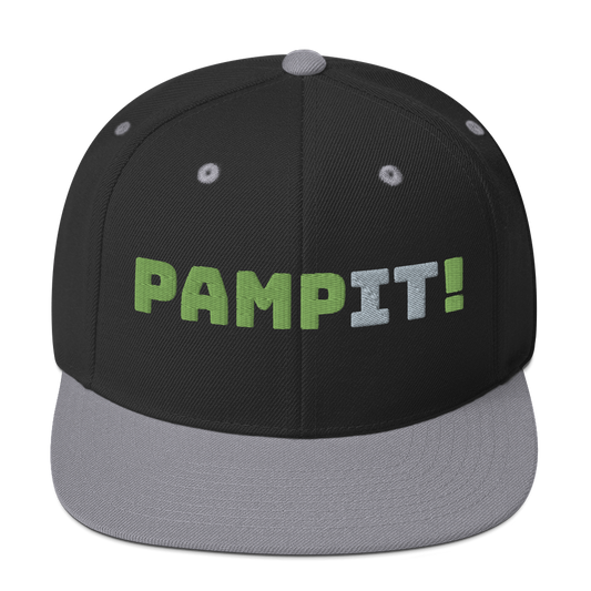 PampIT Snapback Hat -- Green and Grey