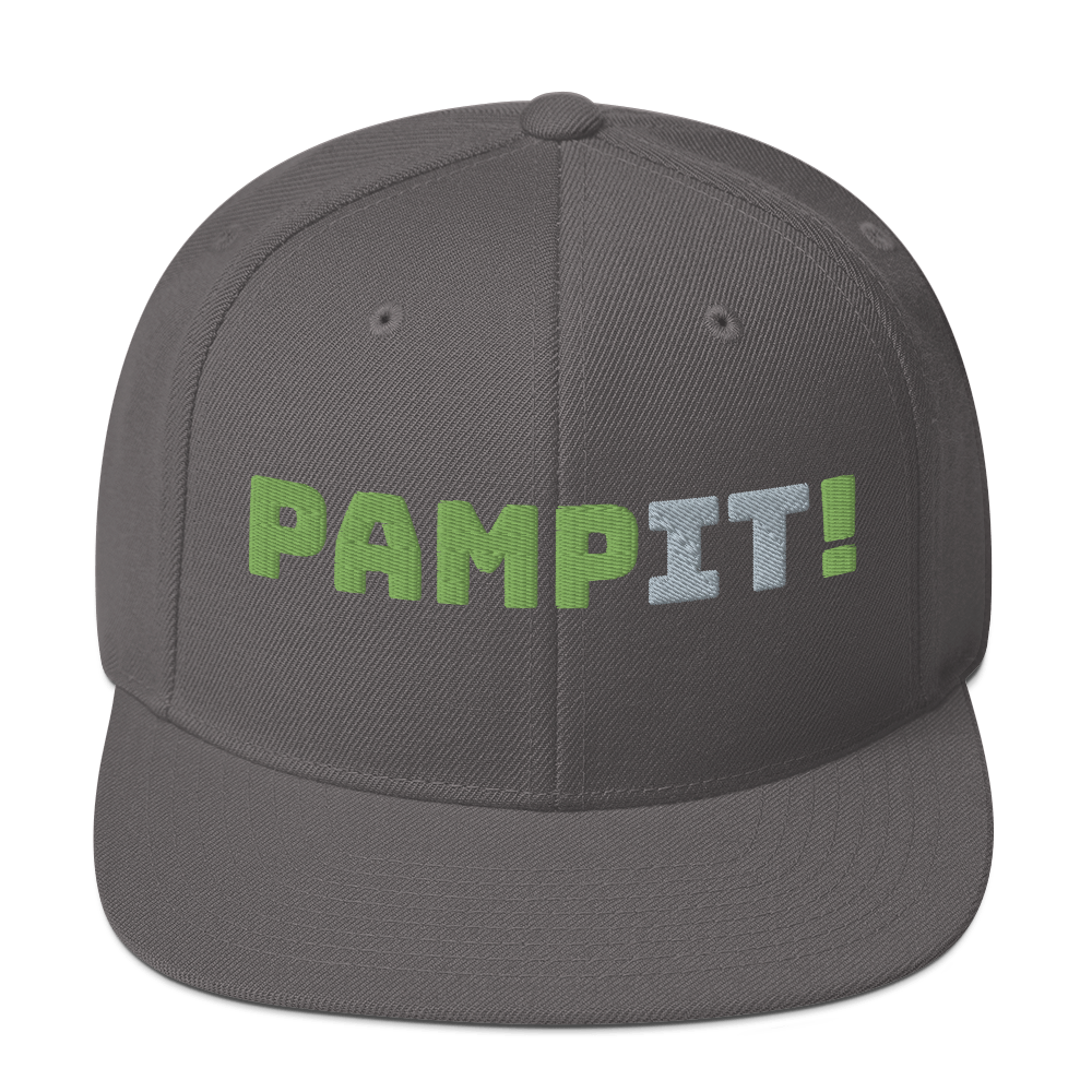 PampIT Snapback Hat -- Green and Grey