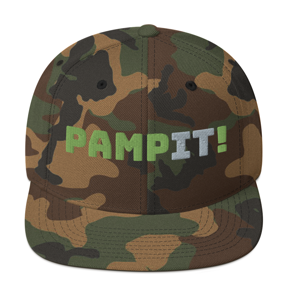 PampIT Snapback Hat -- Green and Grey