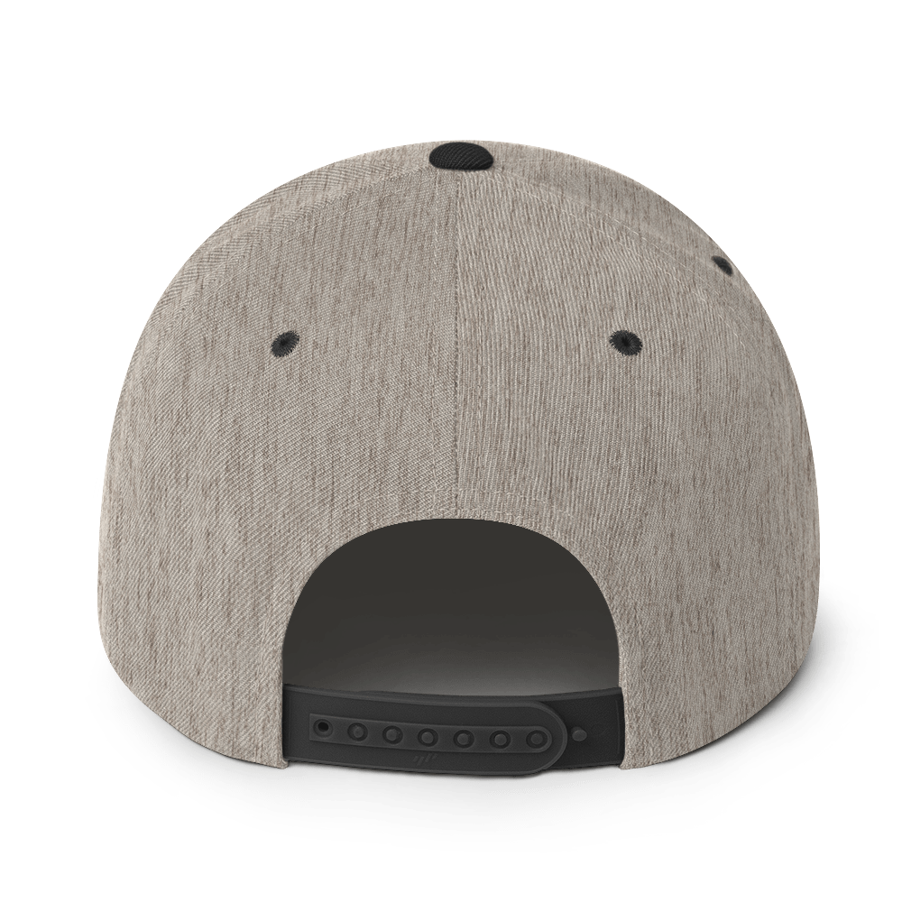 PampIT Snapback Hat -- Green and Grey