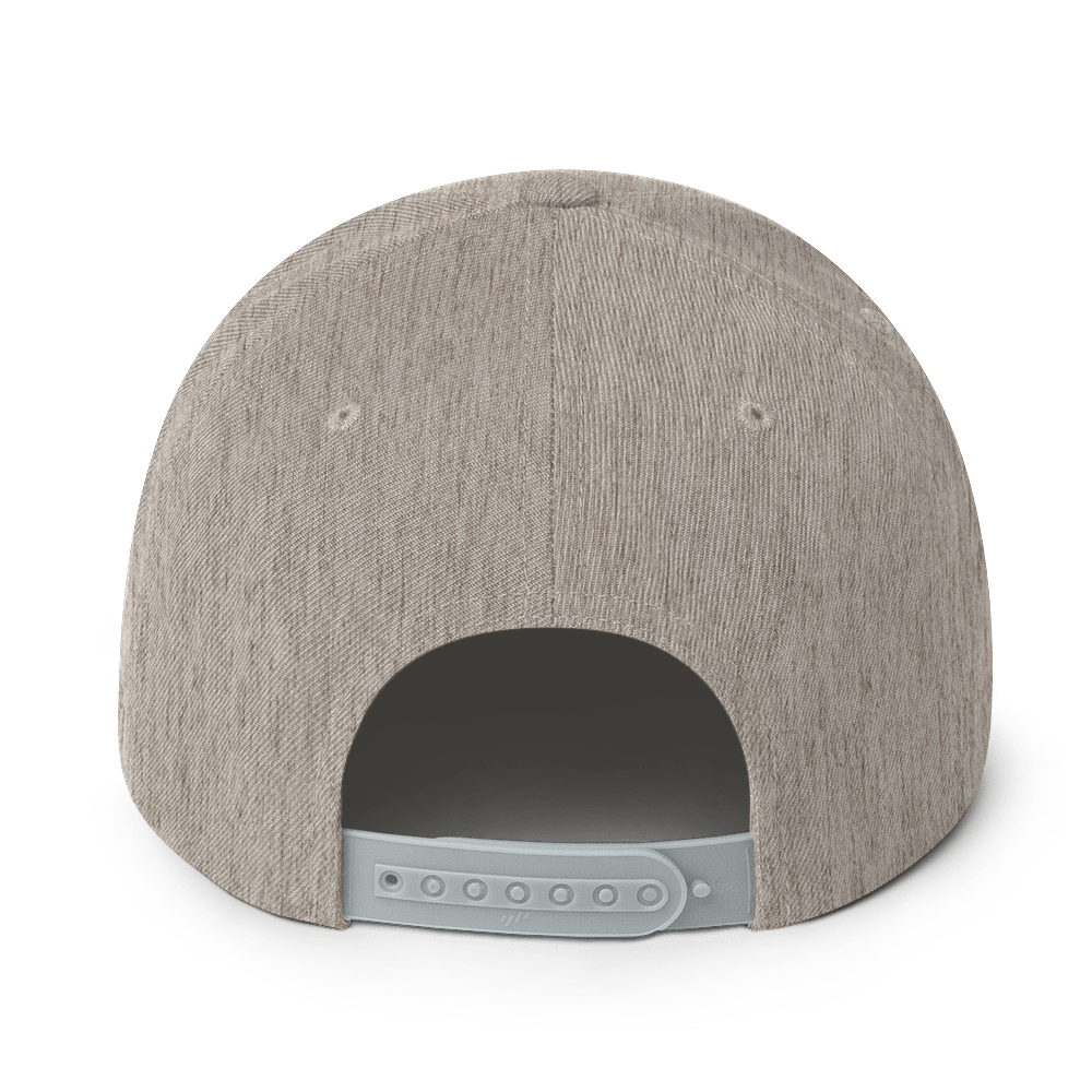 PampIT Snapback Hat -- Green and Grey