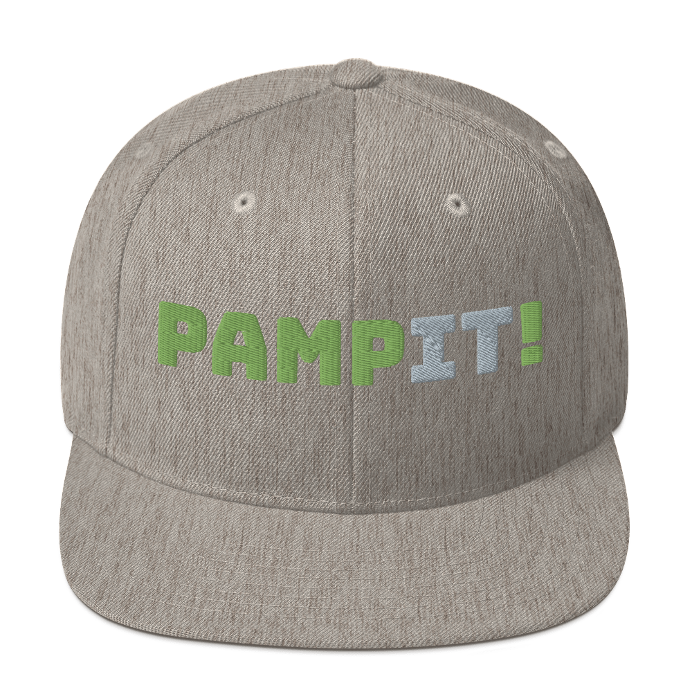 PampIT Snapback Hat -- Green and Grey