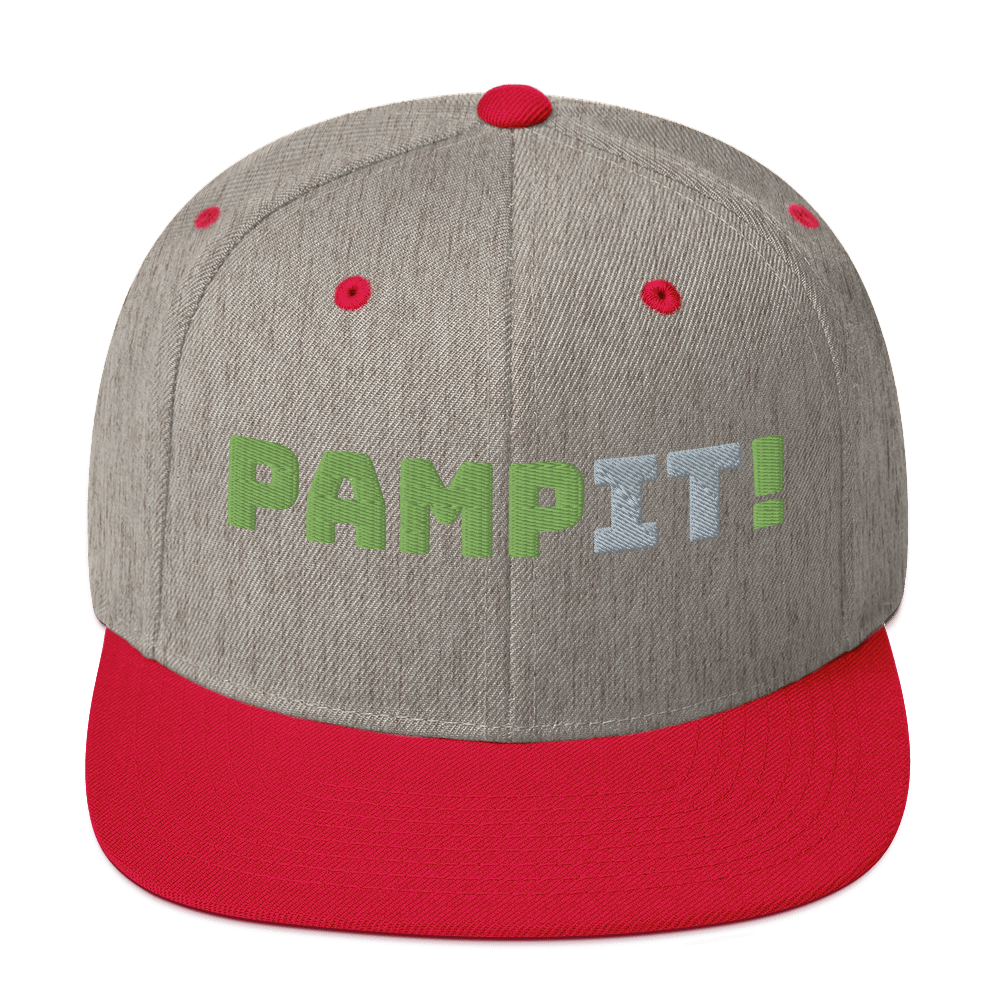 PampIT Snapback Hat -- Green and Grey