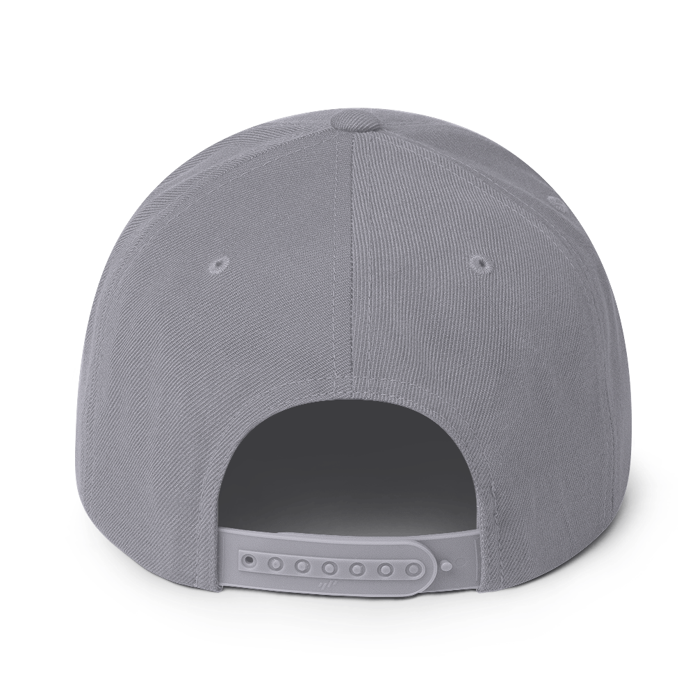 PampIT Snapback Hat -- Green and Grey