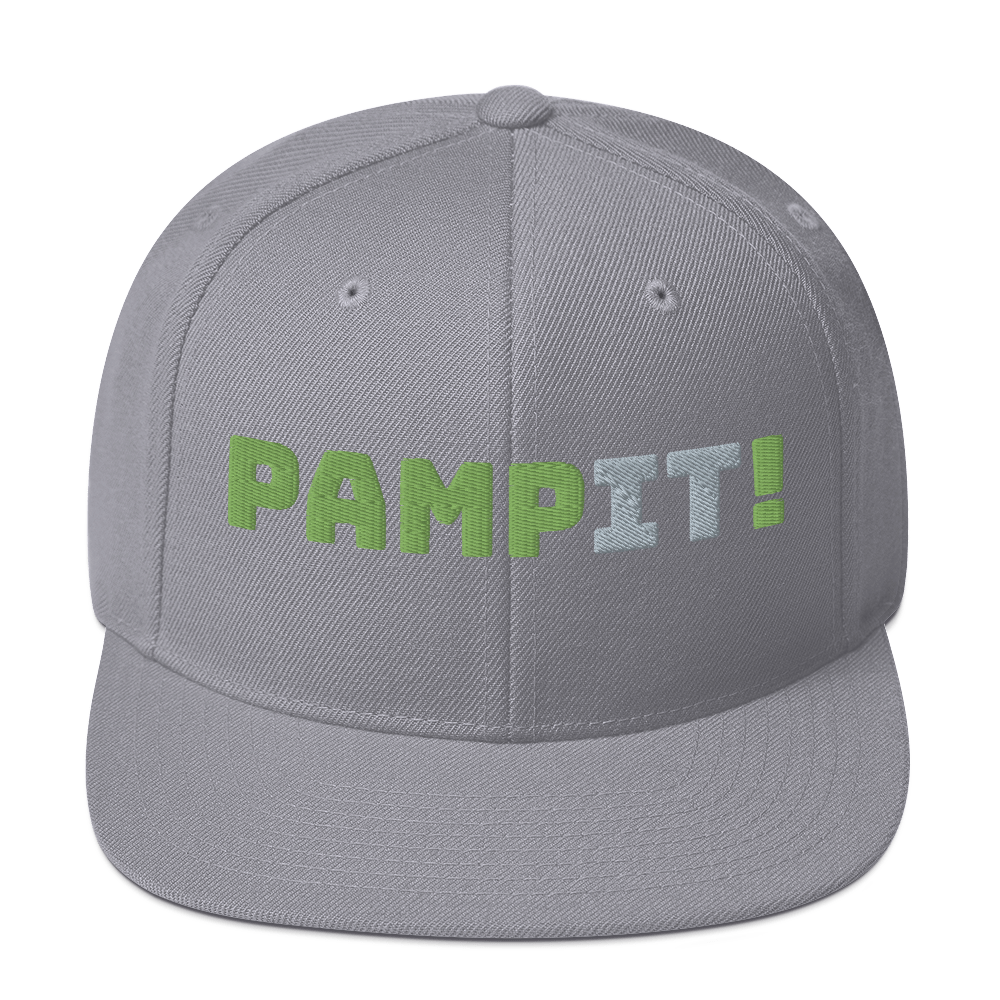 PampIT Snapback Hat -- Green and Grey